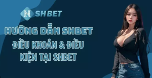 Nội dung các điều khoản và điều kiện tại SHBET